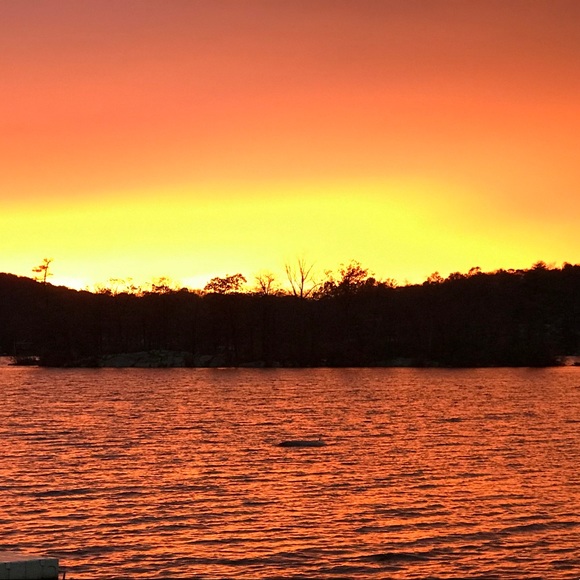 Meet your Posher, Sara - Picture 1 of 1